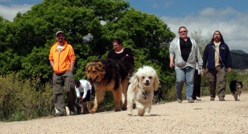 9 razones científicamente probadas para conseguir un perro 9 razones científicamente probadas para conseguir un perro