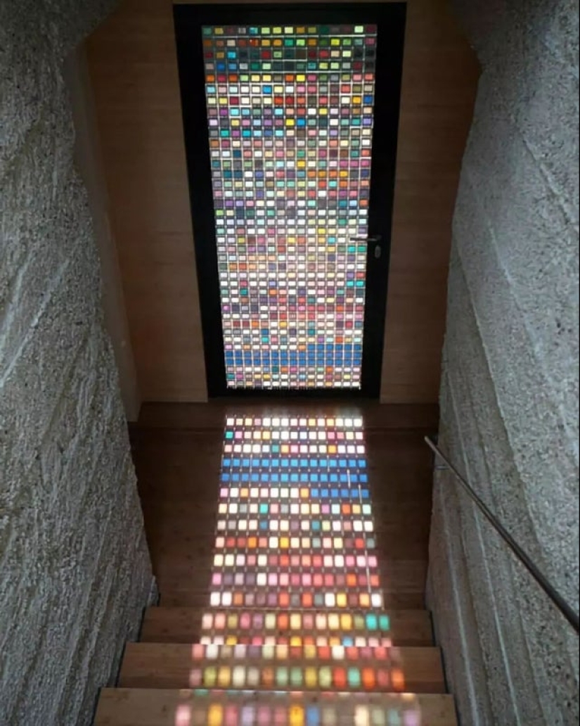 A delight for the eyes: 22 photos in which everything is perfect