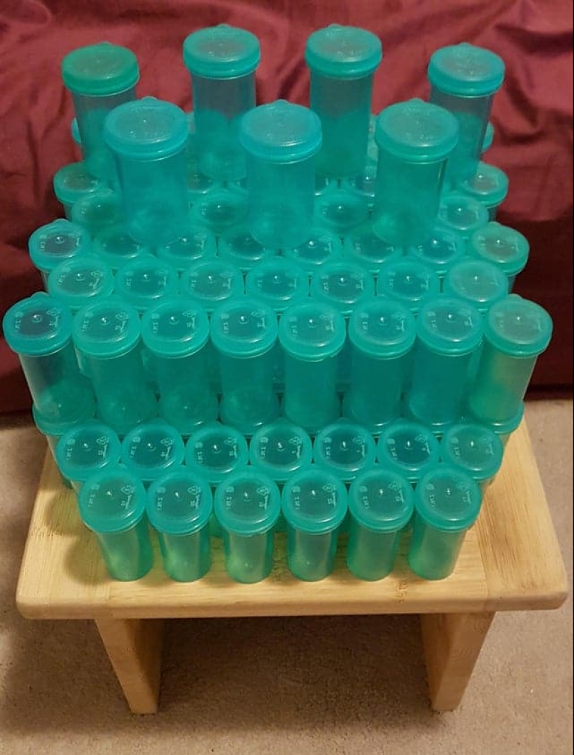 A delight for the eyes: 22 photos in which everything is perfect