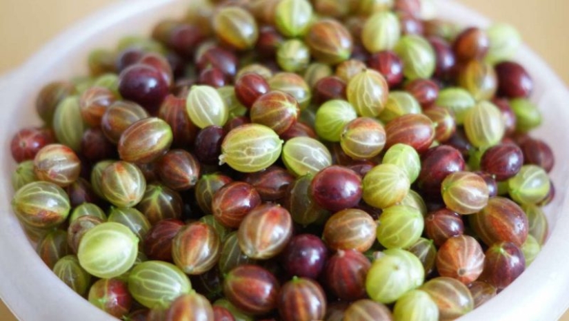 Abastecerse de vitaminas: cómo congelar las bayas y las frutas Abastecerse de vitaminas: cómo congelar las bayas y las frutas