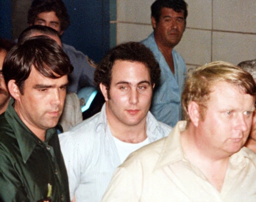 Absolute Evil: Got shot, survived, and unraveled a diabolical criminal scheme Absolute Evil: Got shot, survived, and unraveled a diabolical criminal scheme