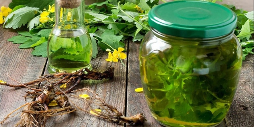 ¡Abuela, ten piedad! Los métodos más peligrosos de la medicina tradicional ¡Abuela, ten piedad! Los métodos más peligrosos de la medicina tradicional