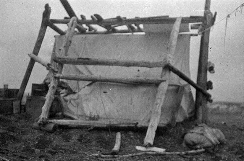 Ada Blackjack and her amazing story of solo survival in the Arctic Ada Blackjack and her amazing story of solo survival in the Arctic