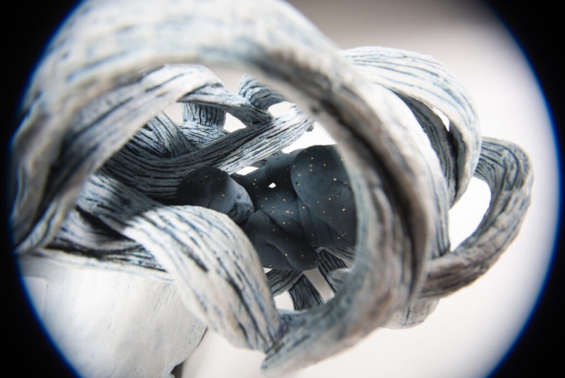 Adrian Arleo and her poetic ceramics that combine man and nature