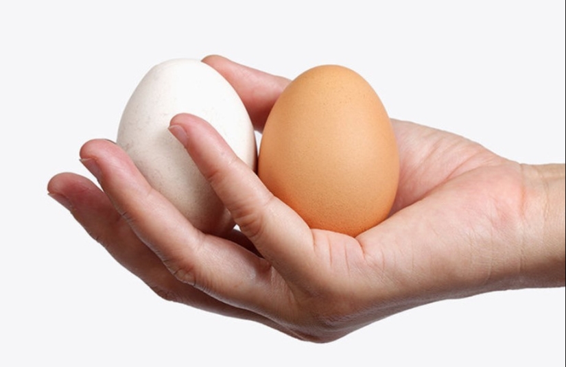 "¿Afeitarse o no afeitarse?": todos los pros y los contras de la depilación en la ingle masculina "¿Afeitarse o no afeitarse?": todos los pros y los contras de la depilación en la ingle masculina