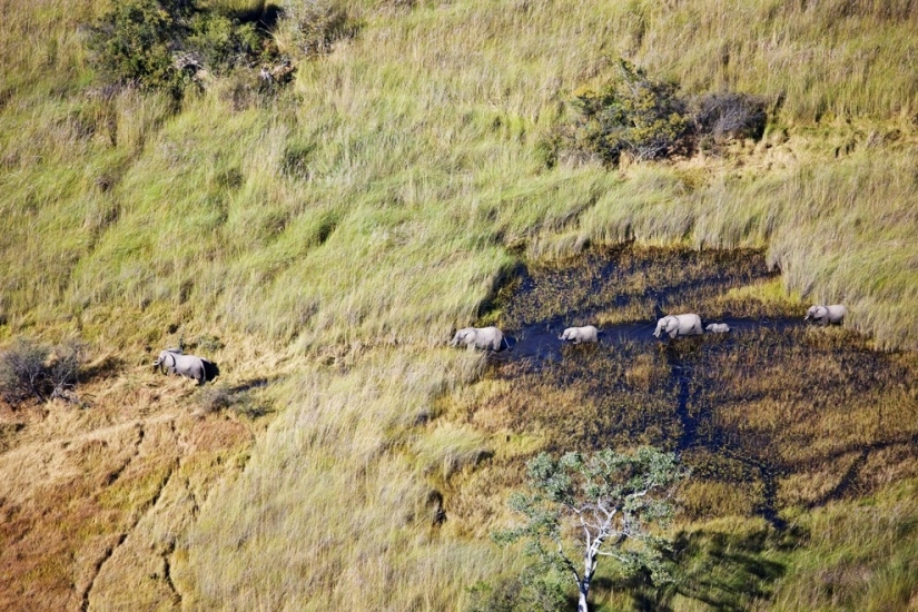 africa aerial view