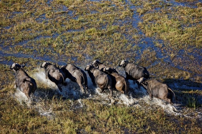 africa aerial view