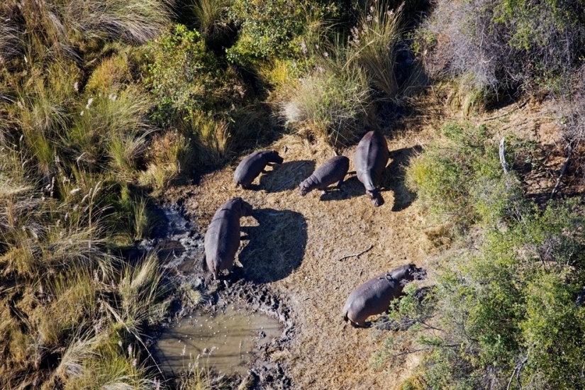 africa aerial view