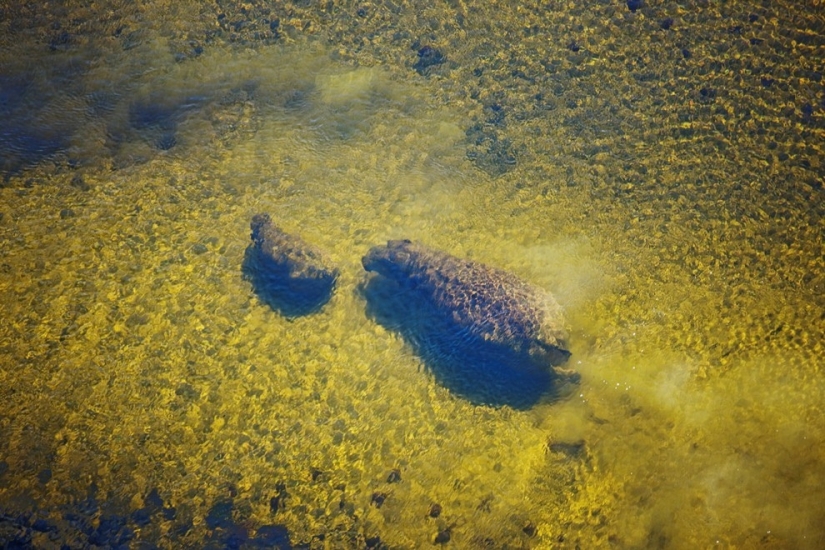 africa aerial view