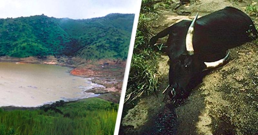 African killer pond: Lake Nyos accounts for 1,800 human casualties
