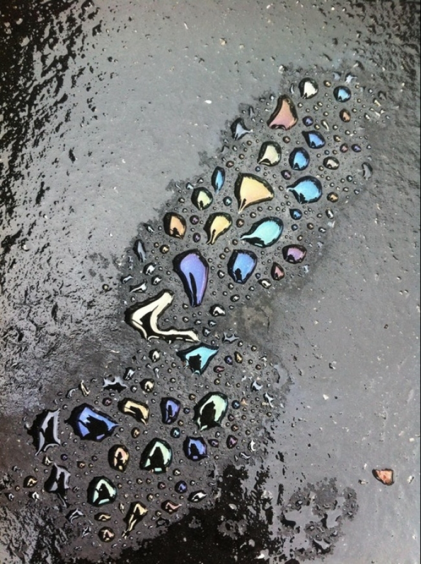 "Ahora lo he visto todo" : 25 fotos, después de ver que se puede decir con seguridad