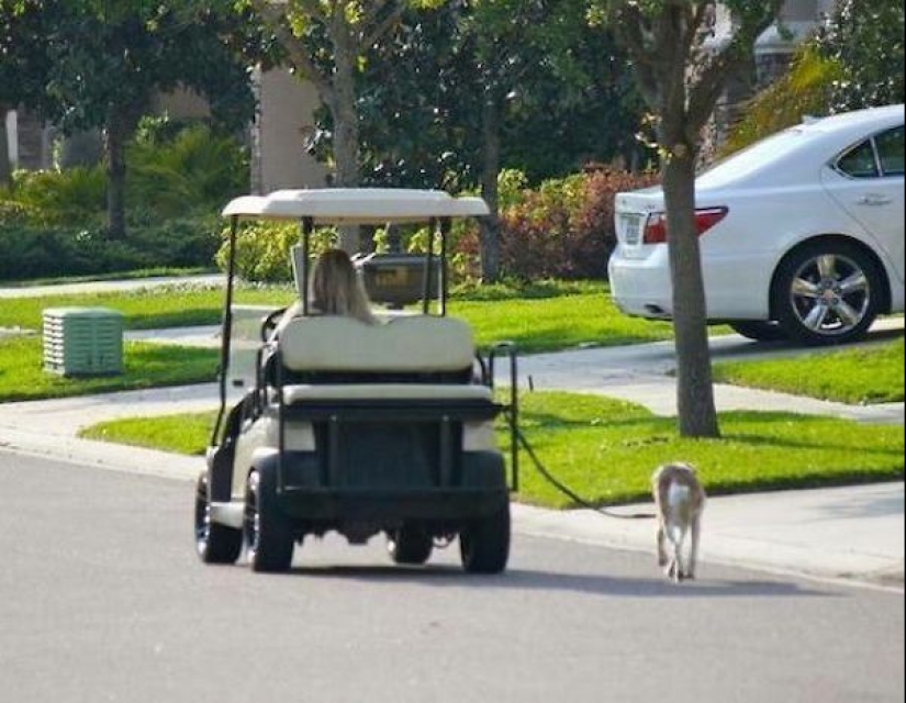Al borde de la genialidad: 22 ejemplos de pereza asombrosa Al borde de la genialidad: 22 ejemplos de pereza asombrosa