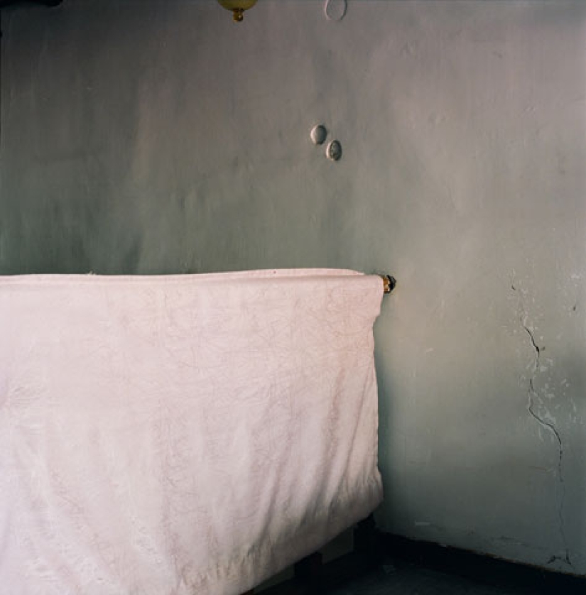 Albinos de Paola de Grene