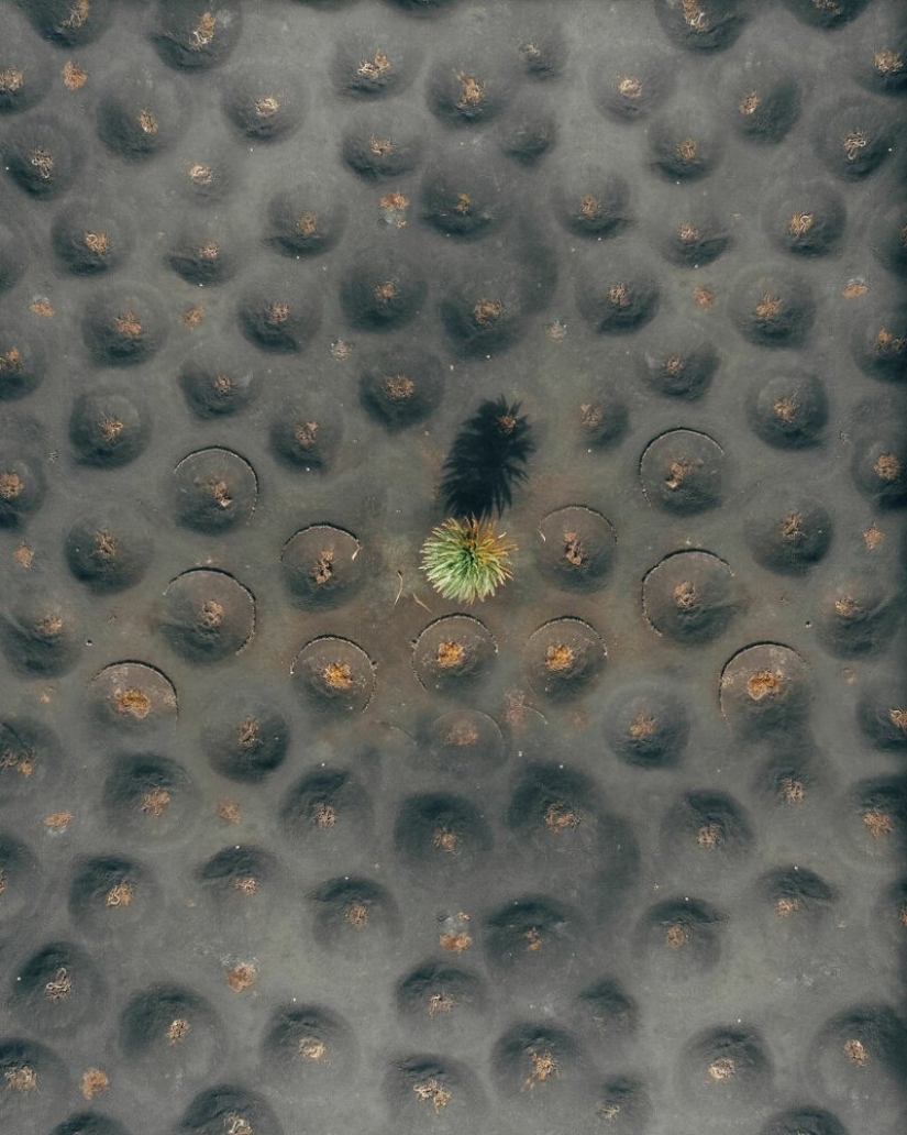 Alien landscapes of Lanzarote Alien landscapes of Lanzarote