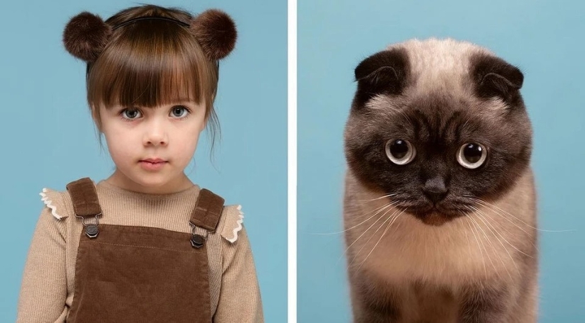 Almost indistinguishable: the photographer has shown how similar cats with their owners Almost indistinguishable: the photographer has shown how similar cats with their owners