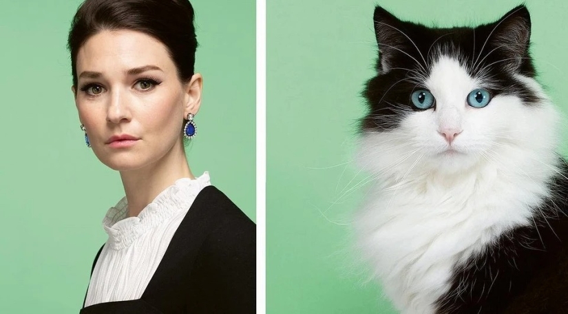 Almost indistinguishable: the photographer has shown how similar cats with their owners Almost indistinguishable: the photographer has shown how similar cats with their owners