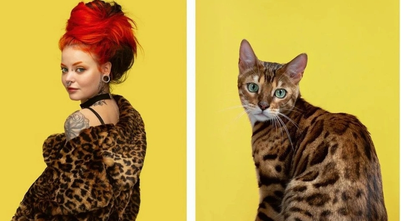 Almost indistinguishable: the photographer has shown how similar cats with their owners Almost indistinguishable: the photographer has shown how similar cats with their owners