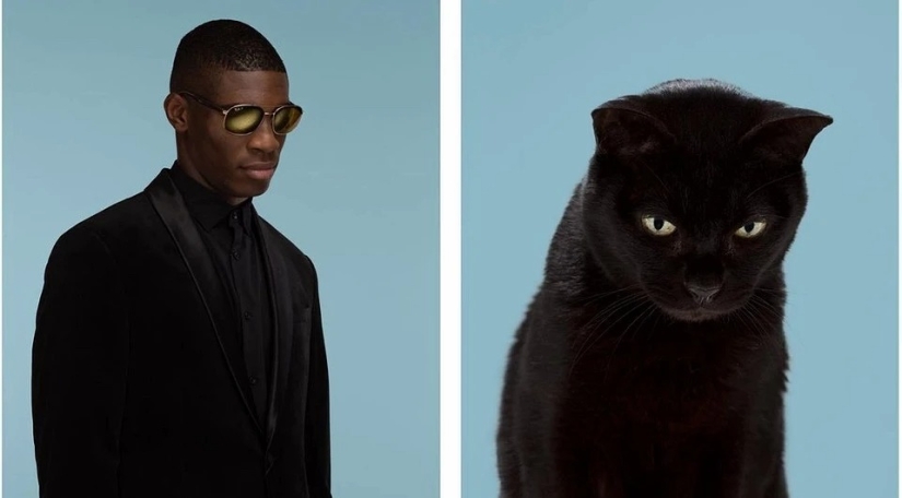 Almost indistinguishable: the photographer has shown how similar cats with their owners Almost indistinguishable: the photographer has shown how similar cats with their owners