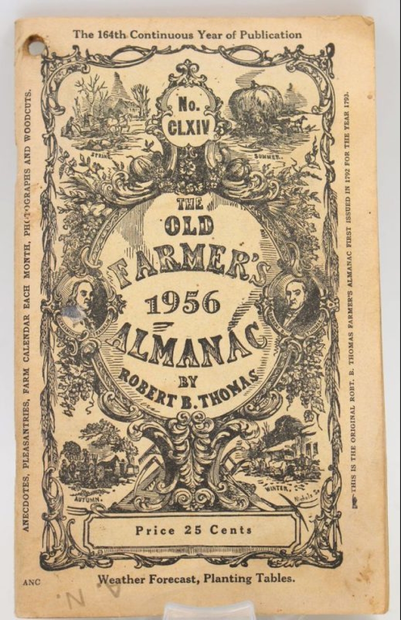 Aloud about the delicate: how toilet paper appeared and what they did before it