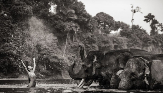 Amazing portraits of Asian models and celebrities with wild animals