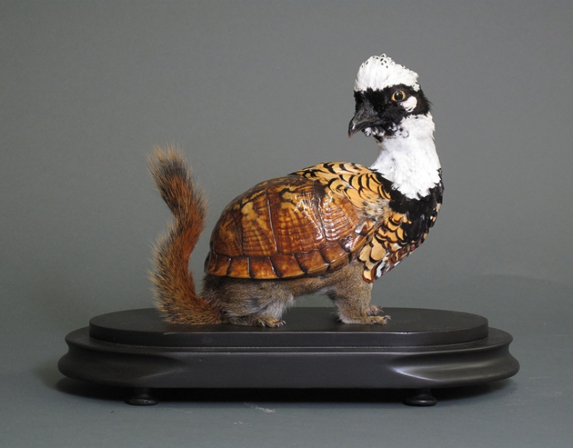 Amazing taxidermy by Enrique Gomez de Molina