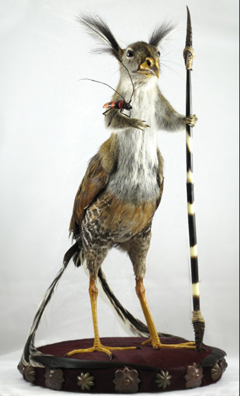 Amazing taxidermy by Enrique Gomez de Molina