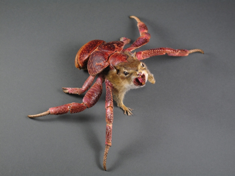 Amazing taxidermy by Enrique Gomez de Molina