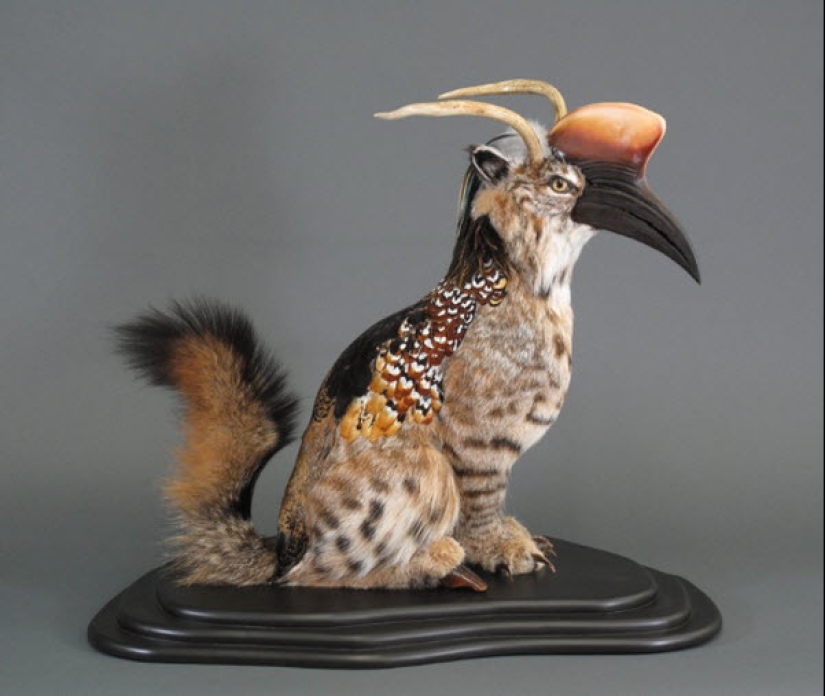 Amazing taxidermy by Enrique Gomez de Molina