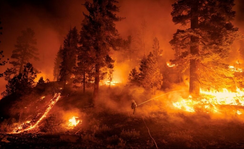 &quot;Amor + Guerra&quot; de la fotógrafa Lynsey Addario: Una historia sobre vivir y trabajar junto a la muerte