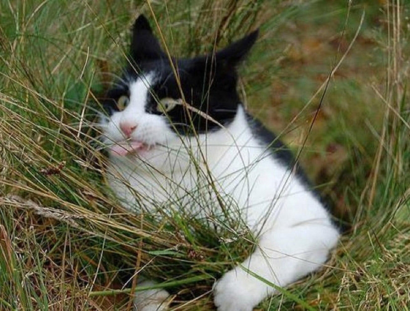 An Awkward moment of nonphotogenicity for animals An Awkward moment of nonphotogenicity for animals