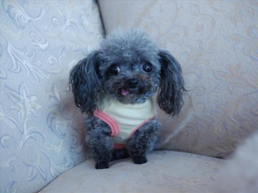 An Awkward moment of nonphotogenicity for animals An Awkward moment of nonphotogenicity for animals