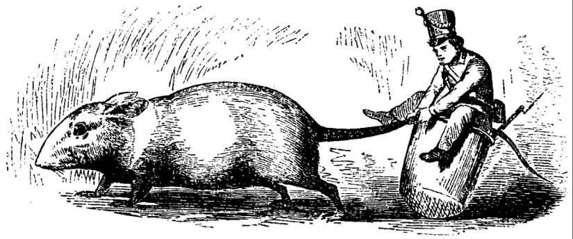 An old, old fairy tale An old, old fairy tale