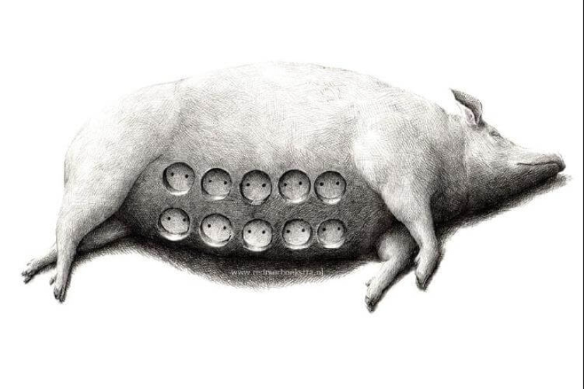 An unusual look at ordinary things from the artist Redmer Hoekstra