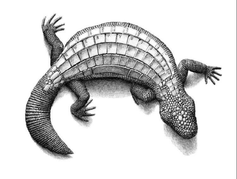 An unusual look at ordinary things from the artist Redmer Hoekstra