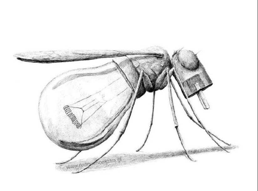 An unusual look at ordinary things from the artist Redmer Hoekstra