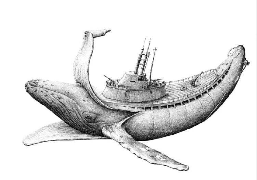 An unusual look at ordinary things from the artist Redmer Hoekstra