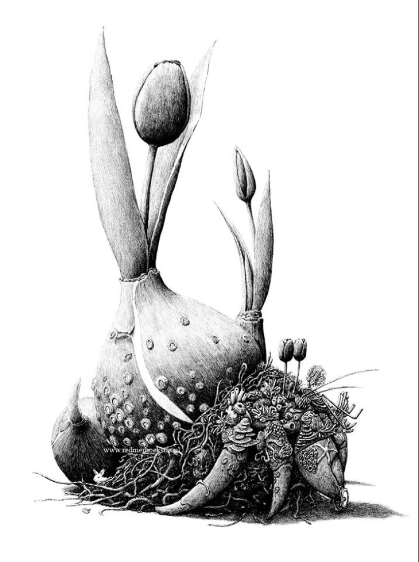 An unusual look at ordinary things from the artist Redmer Hoekstra