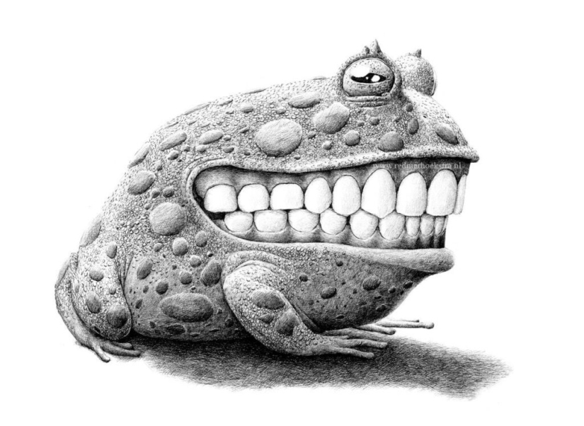 An unusual look at ordinary things from the artist Redmer Hoekstra