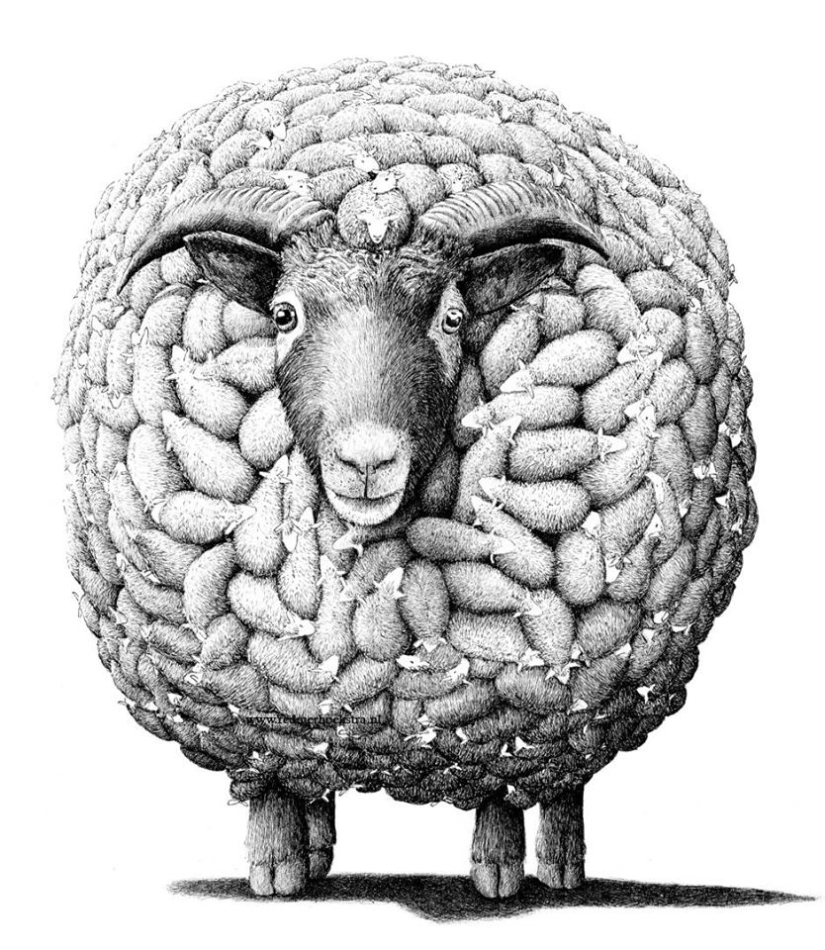 An unusual look at ordinary things from the artist Redmer Hoekstra