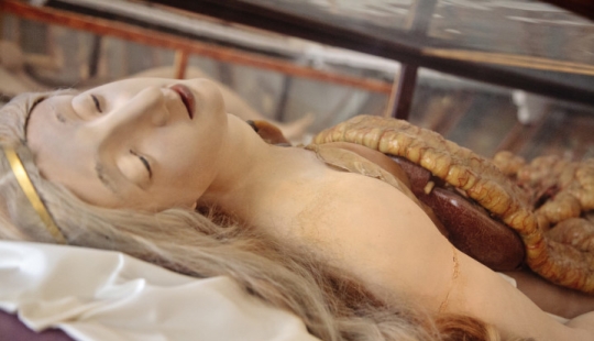 Anatomical Venus, on whom pathologists of the XVIII century studied