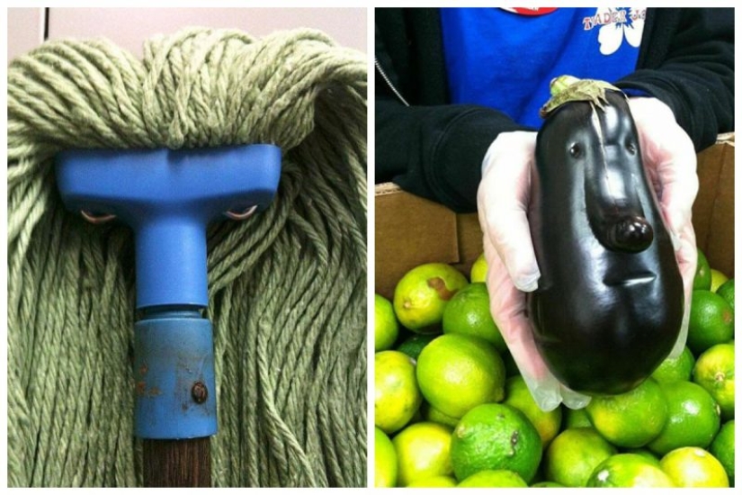 And again, it seemed! 30 photos that will blow your mind And again, it seemed! 30 photos that will blow your mind