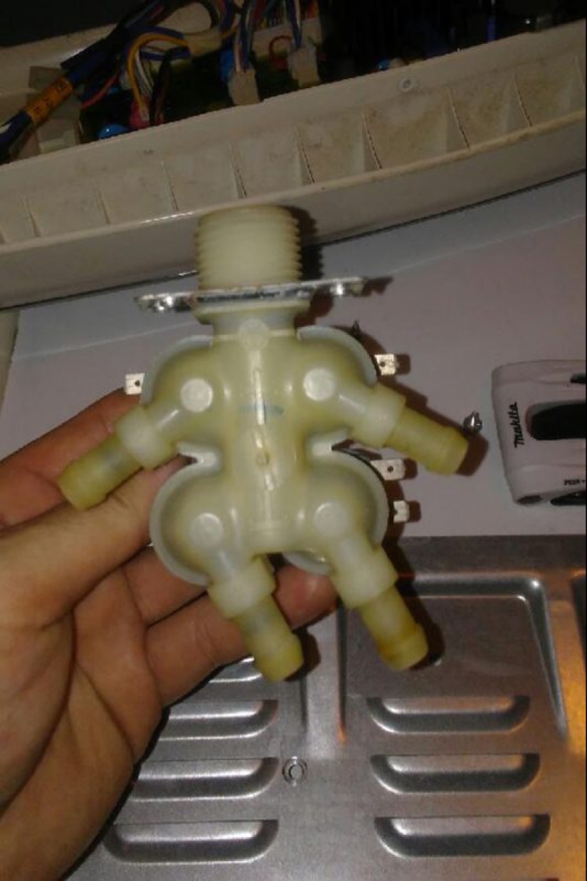 And again, it seemed! 30 photos that will blow your mind And again, it seemed! 30 photos that will blow your mind