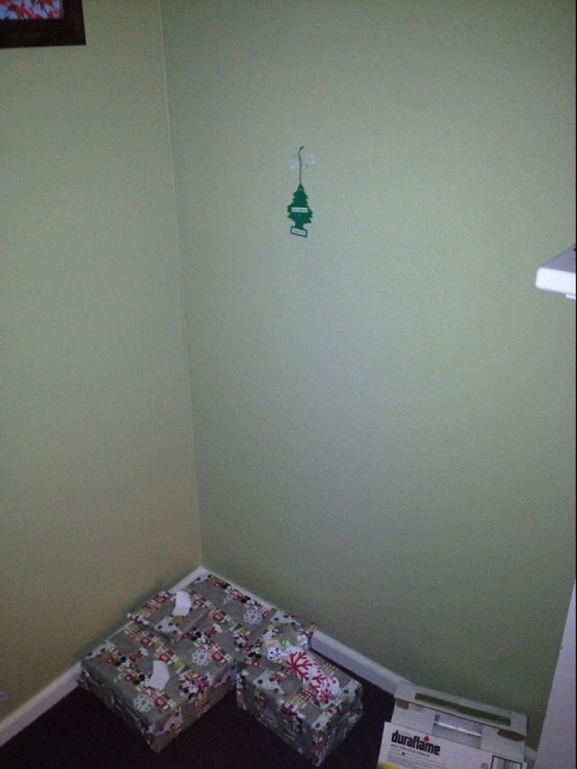 "And so it will come down!" 20 crazy Christmas trees that appeared thanks to Mother laziness