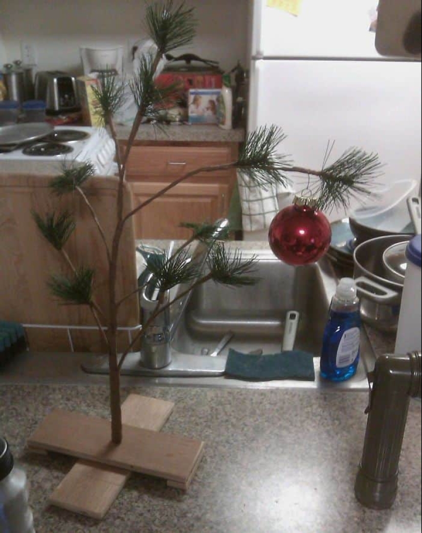 "And so it will come down!" 20 crazy Christmas trees that appeared thanks to Mother laziness