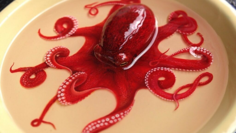 Animales hiperrealistas hechos de acrílico y resina. Animales hiperrealistas hechos de acrílico y resina.