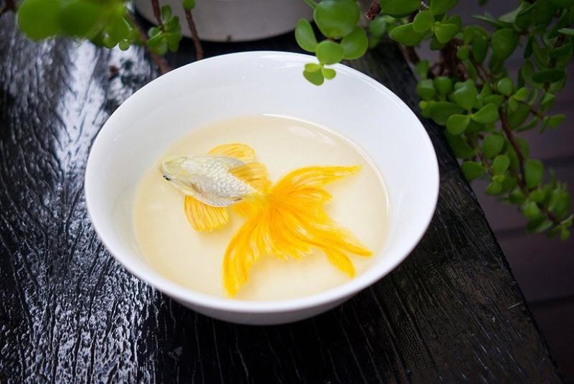 Animales hiperrealistas hechos de acrílico y resina. Animales hiperrealistas hechos de acrílico y resina.