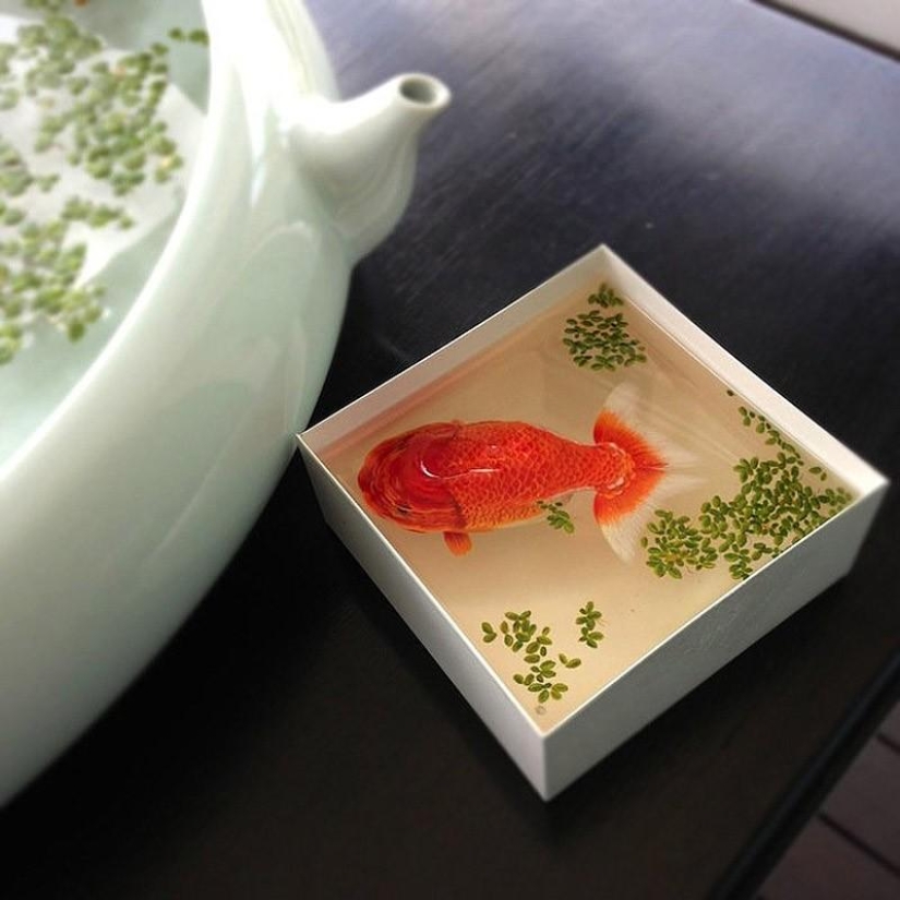 Animales hiperrealistas hechos de acrílico y resina. Animales hiperrealistas hechos de acrílico y resina.