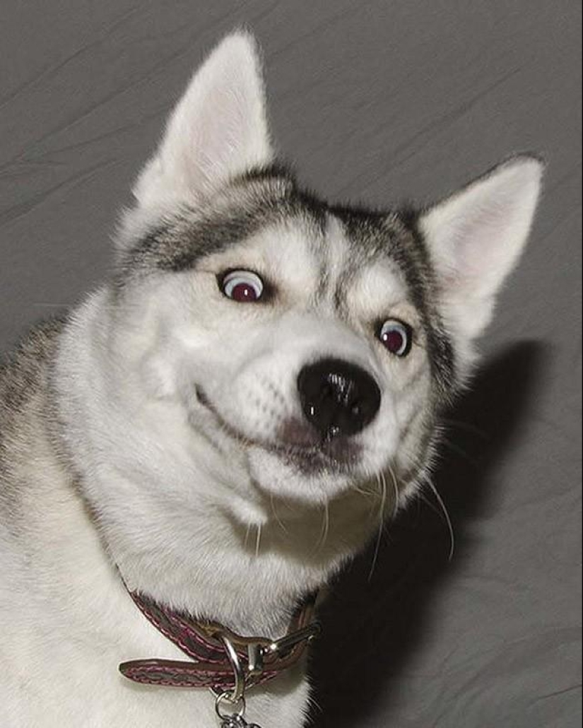 Animals that were not ready for a photo shoot Animals that were not ready for a photo shoot