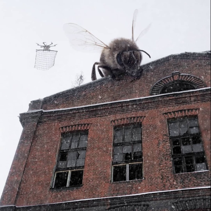 Another Peter: the artist populated the city with unusual inhabitants