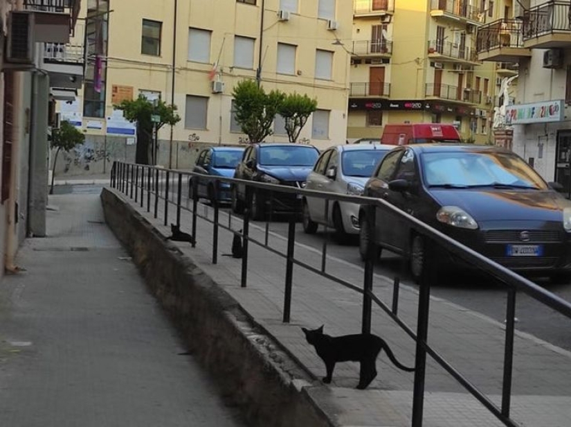 Are the accidents not random? 22 examples of cute coincidences that will amuse you Are the accidents not random? 22 examples of cute coincidences that will amuse you